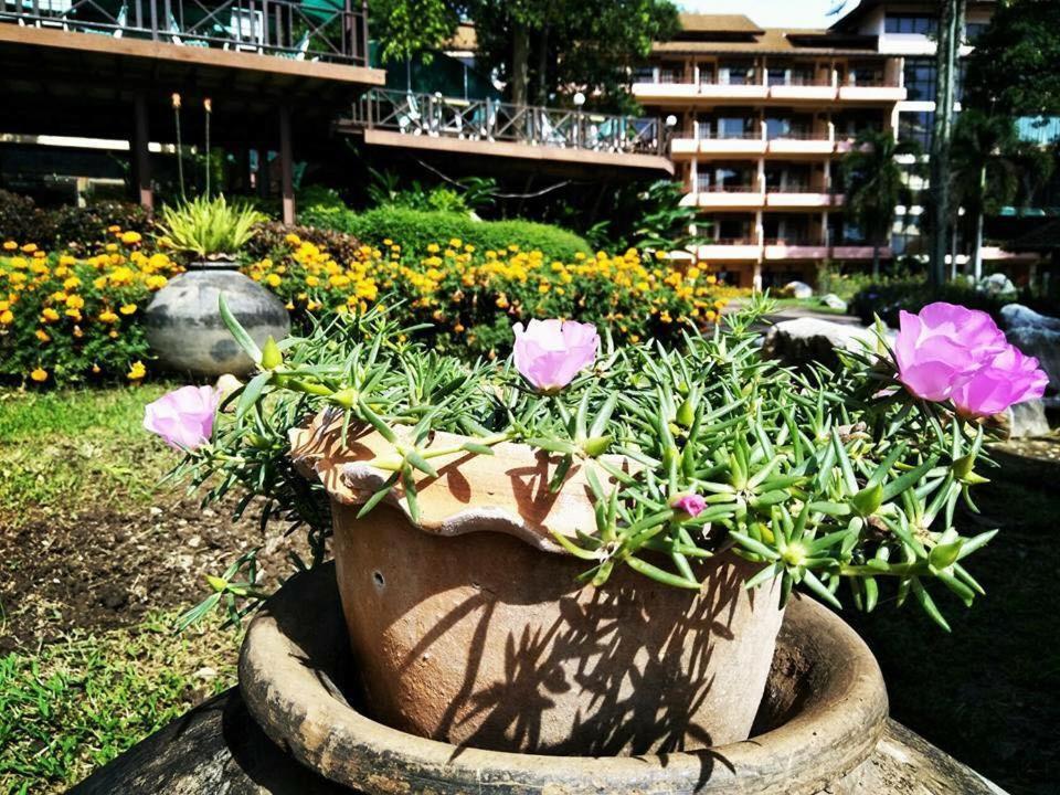 Arayana Phupimarn Resort & Spa Pak Chong Exteriér fotografie